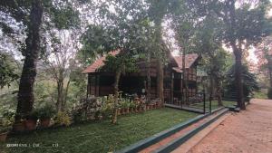 treehouse wayanad
