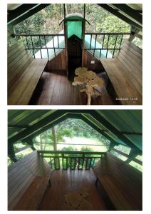 treehouse wayanad