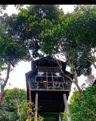 treehouse wayanad