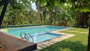 treehouse wayanad