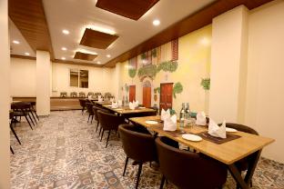 the blue vista hotel