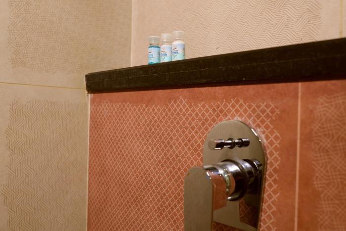 the blue vista hotel