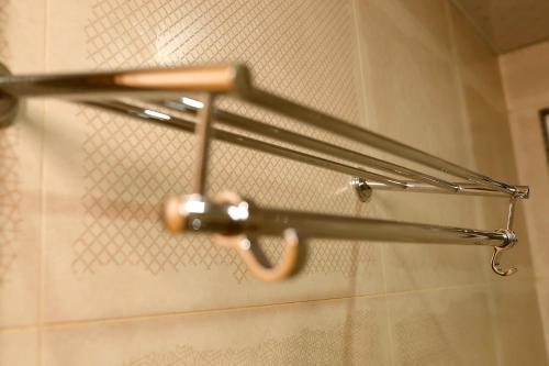 the blue vista hotel