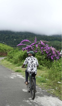 willmount geodesic domes vagamon