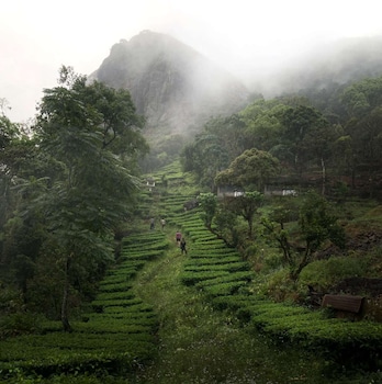 willmount geodesic domes vagamon