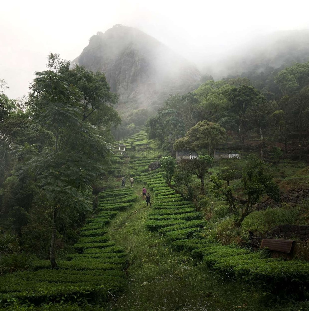 willmount geodesic domes vagamon