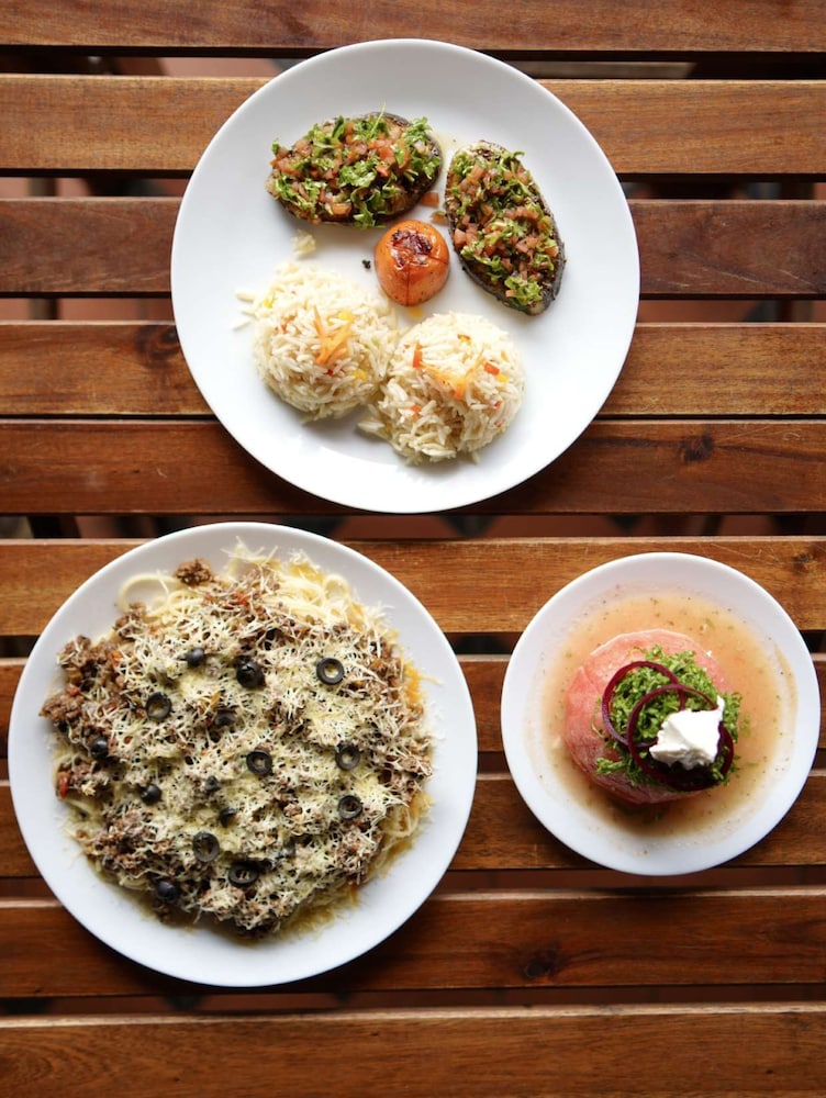 willmount geodesic domes vagamon