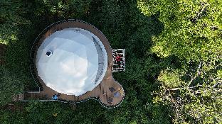 willmount geodesic domes vagamon