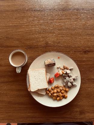 willmount geodesic domes vagamon