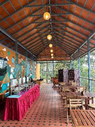 willmount geodesic domes vagamon