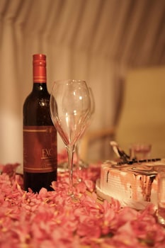 willmount geodesic domes vagamon