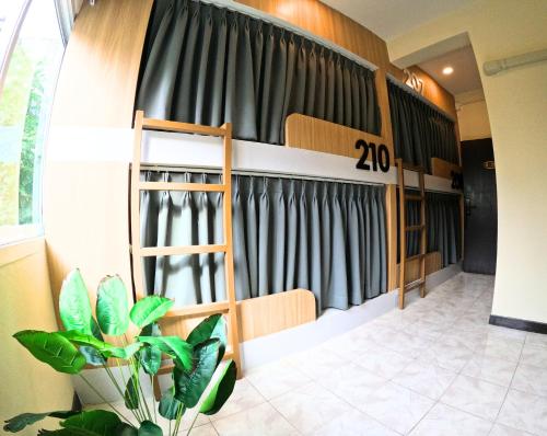 kpop hostel