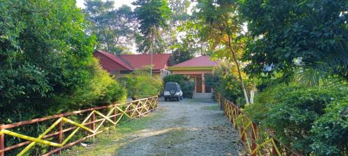 prakritineerh jungle resort