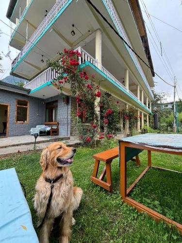 beholden stay and cafe