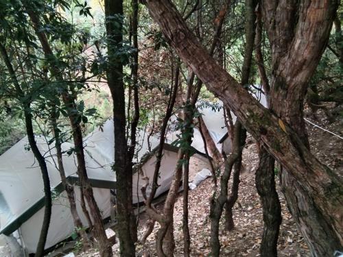 Saanidhya Homestay,,3 star