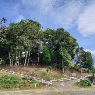 the hill kinabalu
