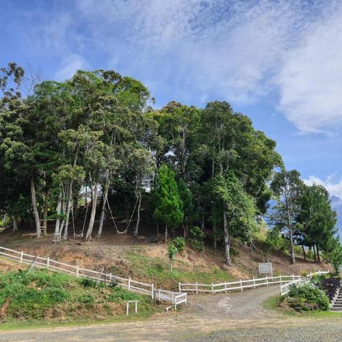 the hill kinabalu