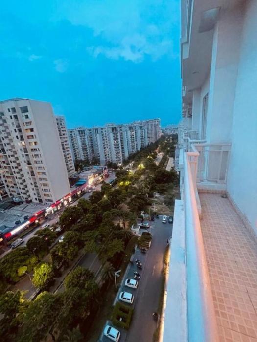 maple tree lucknow couple friendly