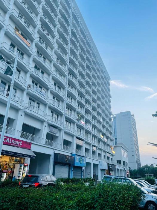 maple tree lucknow couple friendly