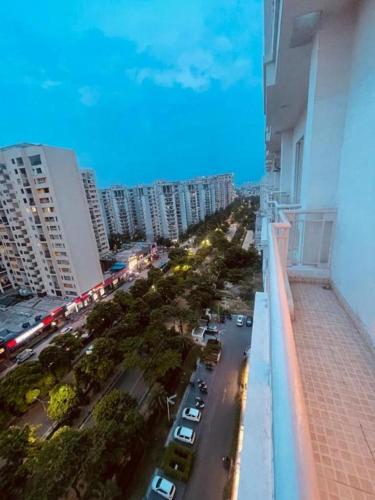 maple tree lucknow couple friendly