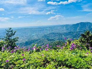 nature sanctuary urumbi hills