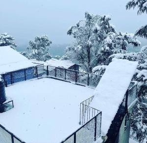 shimla