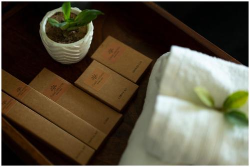 casa concreto infinite luxury