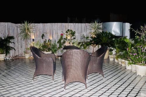 hotel the magic tree karol bagh new delhi