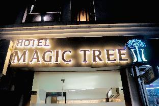 hotel the magic tree karol bagh new delhi