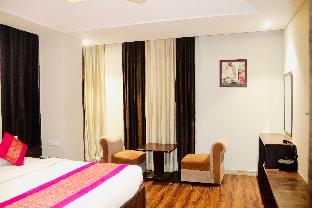 hotel the magic tree karol bagh new delhi