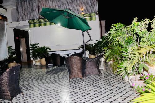 hotel the magic tree karol bagh new delhi