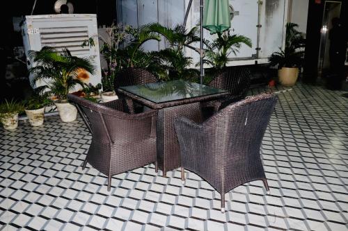 hotel the magic tree karol bagh new delhi