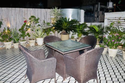 hotel the magic tree karol bagh new delhi