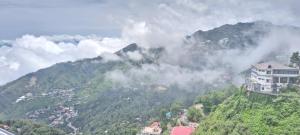 the novello by hotel evergreen