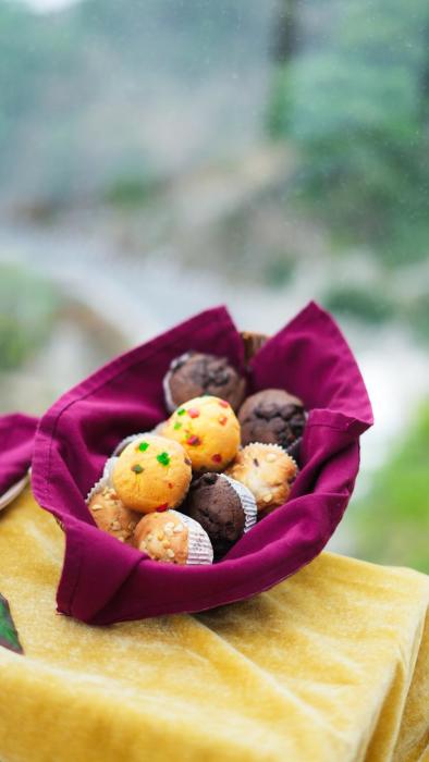 the novello by hotel evergreen