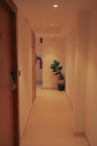 the novello by hotel evergreen