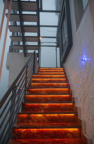 the novello by hotel evergreen