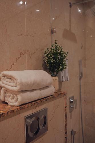 the novello by hotel evergreen