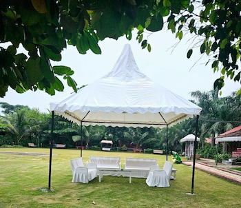 green point hotels and resorts