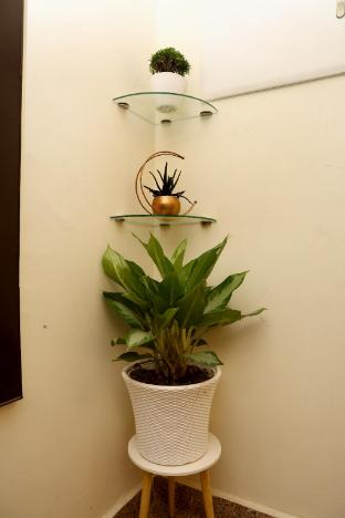 shivalayaa the divine abode