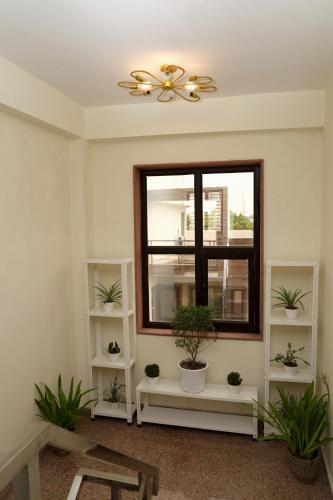 shivalayaa the divine abode