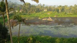 souparnika lakeview homestay