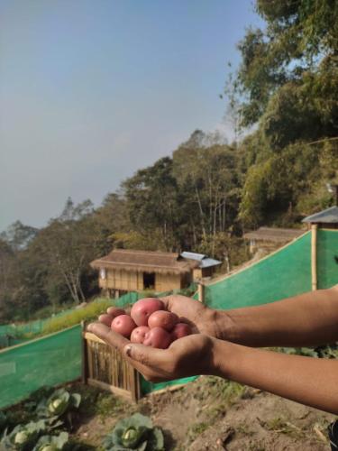 Art Mile Kalimpong,,3 star