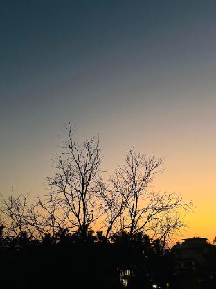 blue stay inn holiday home near baga calangute beach