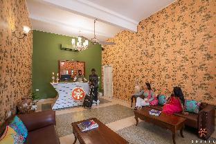 zostel jodhpur ratanada