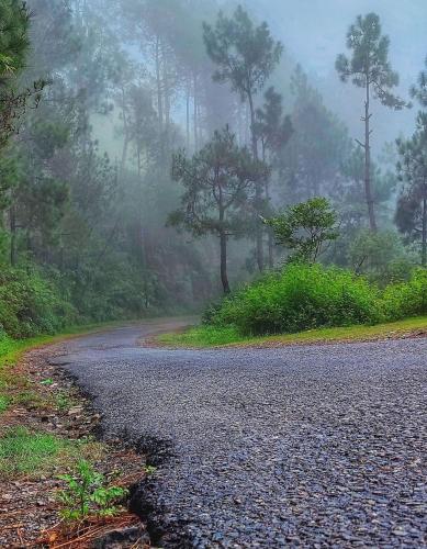 Kabana De Nature,,5 star