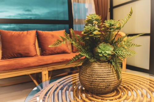 tf sunset ocean view homestay jesselton quay