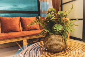 tf sunset ocean view homestay jesselton quay