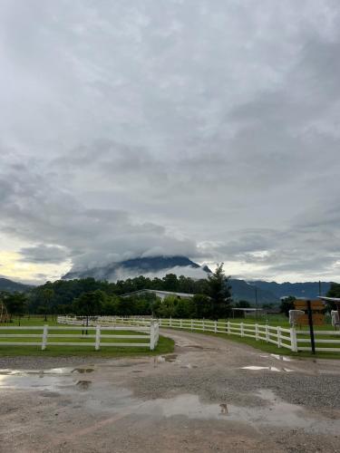 isbjorn chiang dao