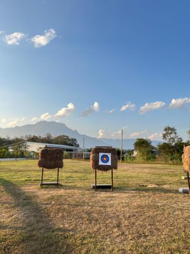 isbjorn chiang dao